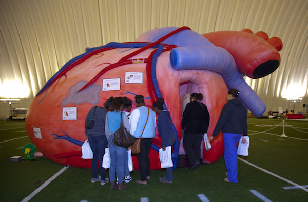 Giant Walk-through Inflatable Heart for Health Fair | The MEGA Heart