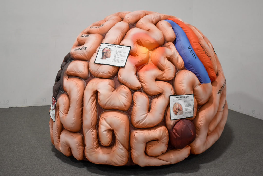 MEGA Mini brain
