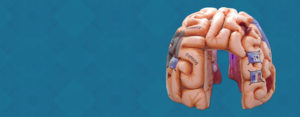 Medical Inflatables - MEGA Brain
