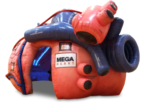 MedicalInflatables-Heart 1