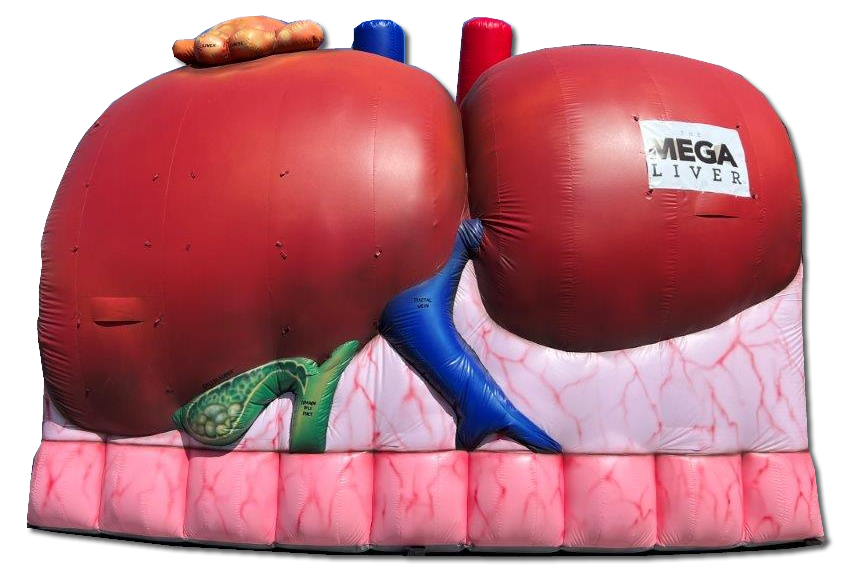 mega-liver-cutout