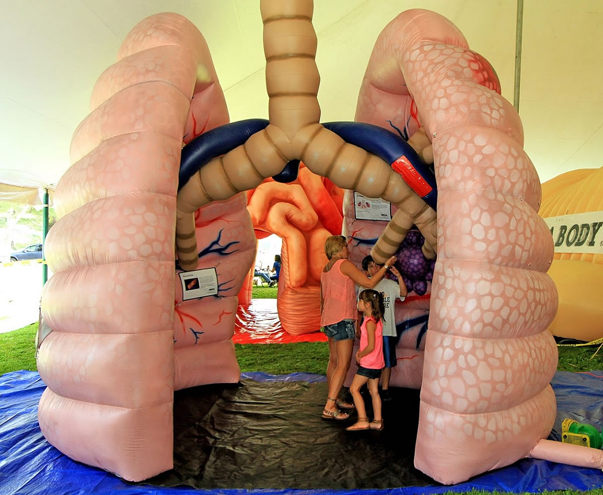 Large Inflatable Lung mega lungs™ | Immersive Health Education & Interactive Exhibits